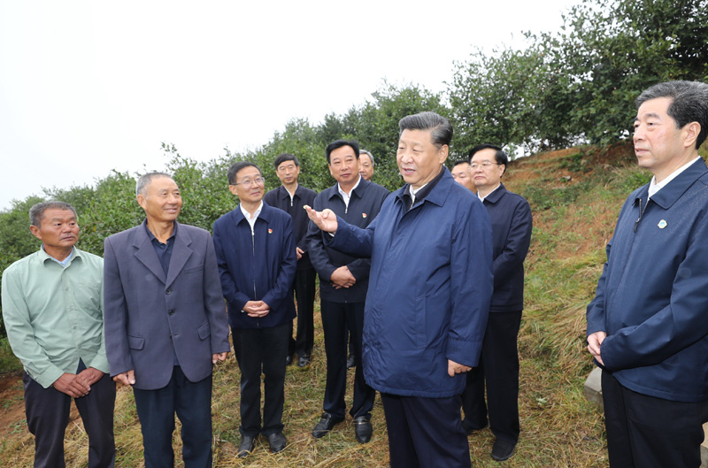 　　9月16日至18日，中共中央總書記、國家主席、中央軍委主席習近平在河南考察。這是17日上午，習近平來到信陽市光山縣槐店鄉(xiāng)司馬光油茶園，同正在勞作的村民和管理人員交流。 新華社記者 鞠鵬 攝