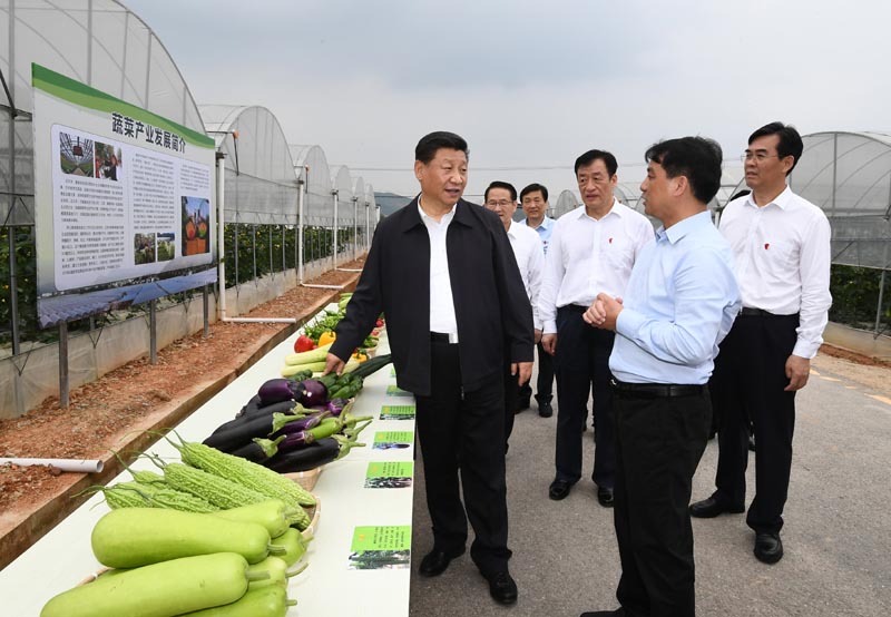 5月20日至22日，中共中央總書記、國家主席、中央軍委主席習(xí)近平在江西考察，主持召開推動中部地區(qū)崛起工作座談會并發(fā)表重要講話。這是習(xí)近平在贛州市于都縣梓山富硒蔬菜產(chǎn)業(yè)園考察調(diào)研。