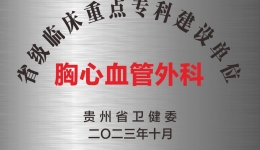 胸心血管外科