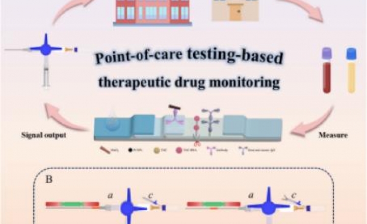 我院药剂科何勇主任药师团队在Biosensors & Bioelectronics国际期刊上发表最新研究成果